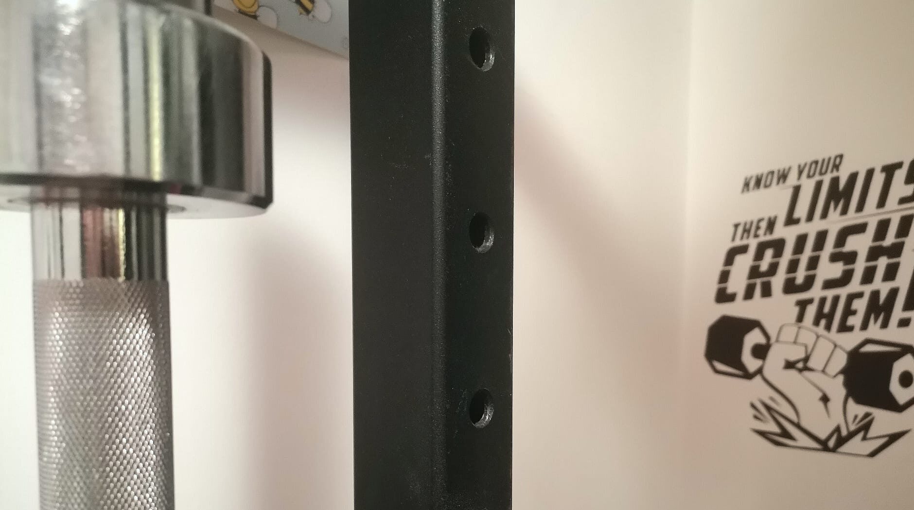 Kako izabrati kavez za čučnjeve? Vodite računa o vertikalnim profilima