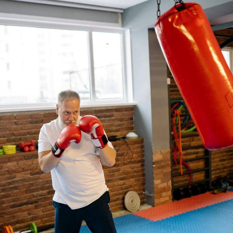 Deda udara džak za boks