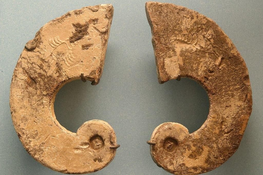 Istorija teretane Haltere